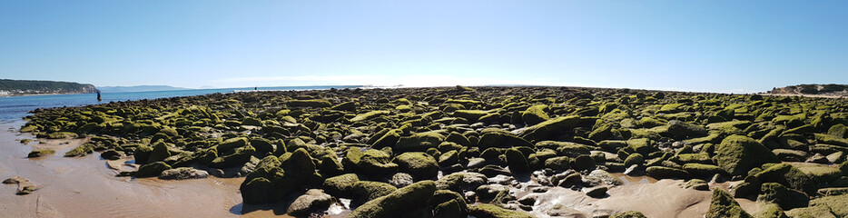 Thousands of rocks covered with silt are exposed on the seashore at low tide on the beach of Los...