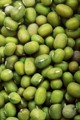 Green bean or mung bean background