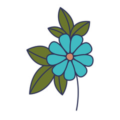 flower and leafs floral decoration vector illustration design