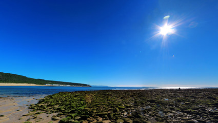 Thousands of rocks covered with silt are exposed on the seashore at low tide on the beach of Los...