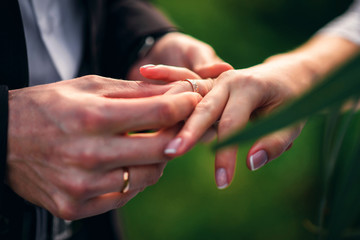 exchange rings for wedding registration of marriage between the bride and groom. Hands close up
