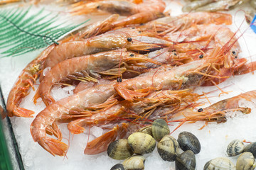 Fresh shrimps and clams on sale