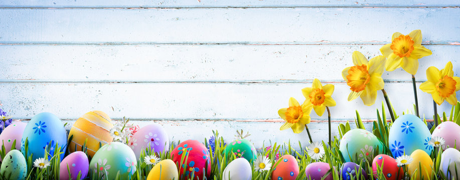 Easter - Daffodils And Eggs With Old Wooden Background
