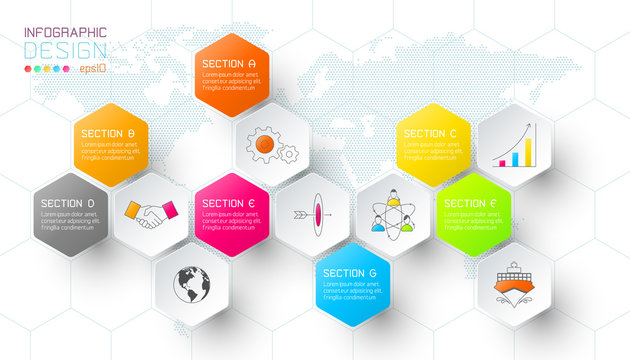 Business Hexagon Net Labels Shape Infographic Bar.