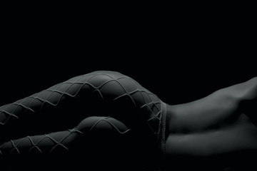 Silhouette of a body part , nude woman with fishnets on black background