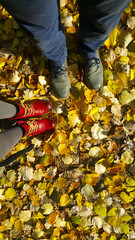 autumn scene yellow leaves and couple shoes  walking concept from above 