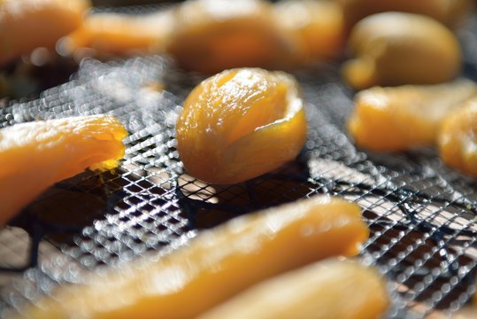 Dried sweet potato ball at Ibaraki Japan, winter homemade local food close up