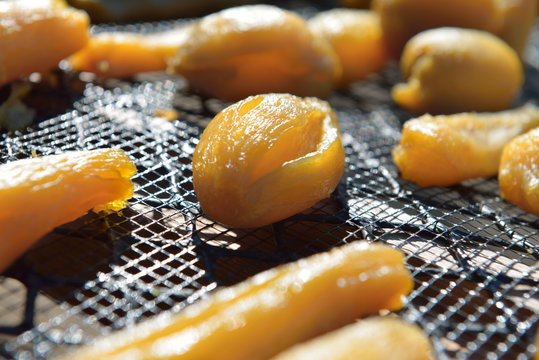 Dried sweet potato ball at Ibaraki Japan, winter homemade local food close up