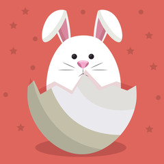 cute rabbit in egg vector illustration design