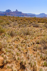 グランドキャニオンのブライトエンジェルトレイル