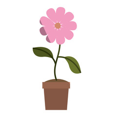 flower in pot floral decoration vector illustration design