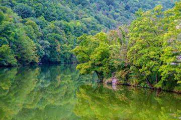Fototapeta na wymiar Forest lake Hamori-Hungary