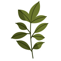 cute leafs decorative icon vector illustration design