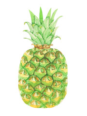 パイナップル　水彩イラスト
