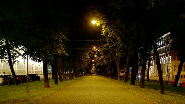 Empty illuminated alley in the summer in the night - St. Petersburg, Russia