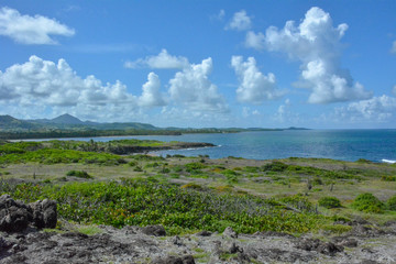 Fototapeta na wymiar Vue sur l'Anse Macabou