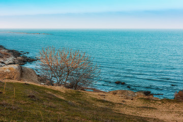 Sea coast with azure water