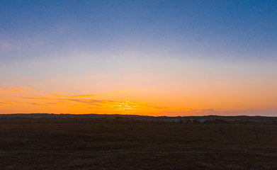 Sunny sunset in the savannah