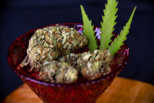 Dried cannabis nugs (sour tangie strain) on a red glass with a pot leaf over black background