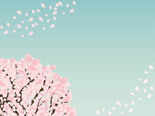 桜の木　背景素材