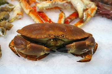Paris,France-January 27 2018: Seafood displayed on a fishmongers counter in Paris