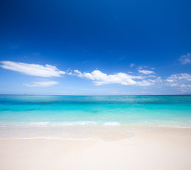 Fototapeta premium beach and beautiful tropical sea