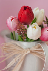 Pink, White and Red Tulip flower Bouquet. Pink Background. Waternig Can. Vertical Image.