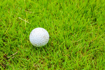 Golf ball on grass