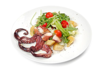 Plate of tasty warm salad with octopus on white background