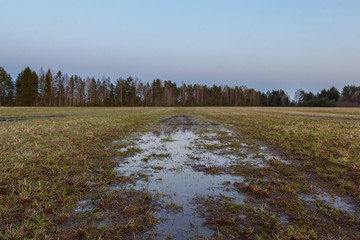 Puddle on the field