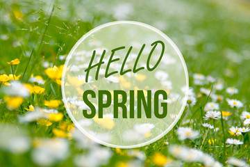 Fototapeta premium hello spring card