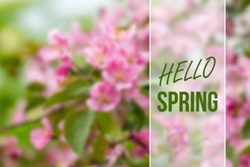 hello spring card © MasterSergeant