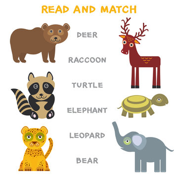 Kids words learning game worksheet read and match. Funny animals deer raccoon turtle elephant leopard bear Educational Game for Preschool Children Picture puzzle. Vector