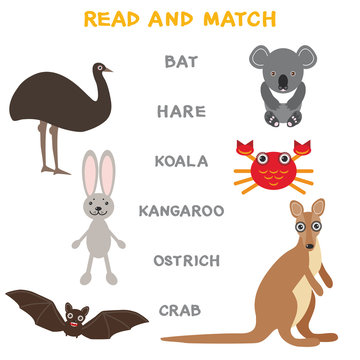Kids words learning game worksheet read and match. Funny animals bat hare koala kangaroo ostrich crab Educational Game for Preschool Children Picture puzzle. Vector
