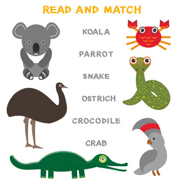 Kids words learning game worksheet read and match. Funny animals koala ostrich parrot crab crocodile snake Educational Game for Preschool Children Picture puzzle. Vector