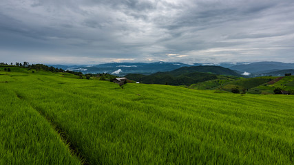 Fototapeta na wymiar Terraced rice fields at Pa pong Pieng in Chiang Mai, Thailand