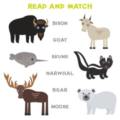 Kids words learning game worksheet read and match. Funny animals Bison Goat Skunk Narwhal Bear Moose Educational Game for Preschool Children Picture puzzle. Vector
