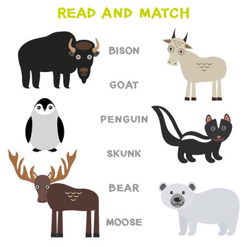 Kids words learning game worksheet read and match. Funny animals Bison Goat Skunk Polar Bear Moose Penguin Educational Game for Preschool Children Picture puzzle. Vector