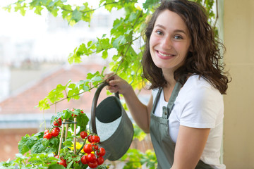 Young woman watering tomatoes on her city balcony garden - Nature and ecology theme