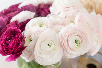 Persian buttercup. Bunch colorful and pale pink ranunculus flowers light background. Glass vase on pink vintage wooden table. Wallpaper