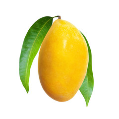 Yellow mango with leaves isolated on white background
