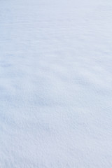 snow texture for the background