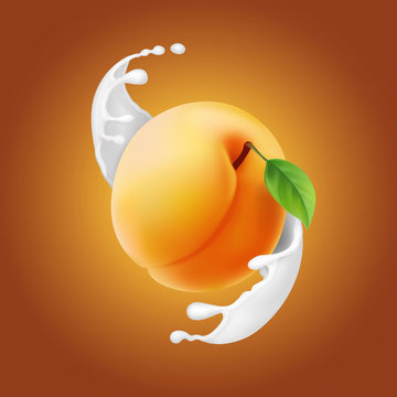 Ripe apricot in realisitc milky splash