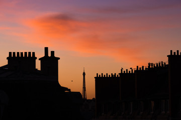 Tour eiffel paris france logement habitation énergie consommation chauffer immeuble toit parisien...