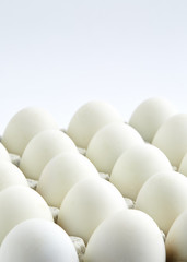 white eggs on a white background