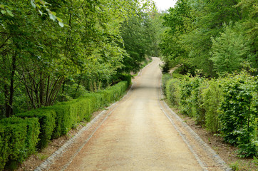 Obraz premium Gravel lane in the park
