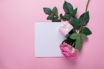 A fresh rose-gift and letter-writing lie on a table on a pink background. Flat layout.Minimalism. Celebratory concept.