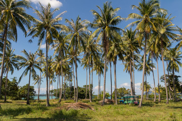 Bunter Bus unter Palmen auf Koh Yao Yai