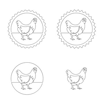 Vector drawing of a chicken, drawn with a continuous line