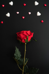 Obraz premium Flat view of red rose with valentines hearts and decoration on dark background with copy space. Symbol of love. Happy Valentines Day background.Saint Valentine's Day concept.